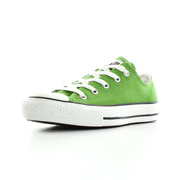 Converse Chuck taylor spec ox