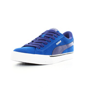 Puma Se vulc