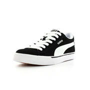 Puma Se vulc