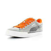 Puma Se vulc