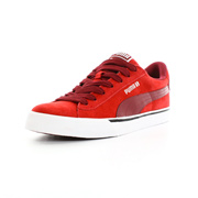 Puma Se vulc