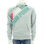 Puma Graphic hooded sweat