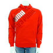 Puma Graphic hooded sweat
