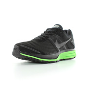 Nike Air Pegasus +29 Shield
