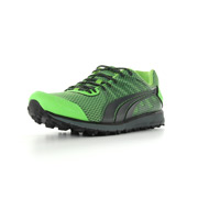 Puma Faas 300 TR