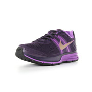 Nike Air pegasus +29
