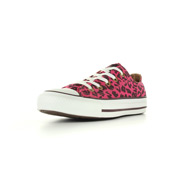 Converse Chuck Taylor All Star Cheetah Print Ox