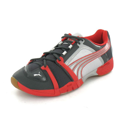 Puma Damper