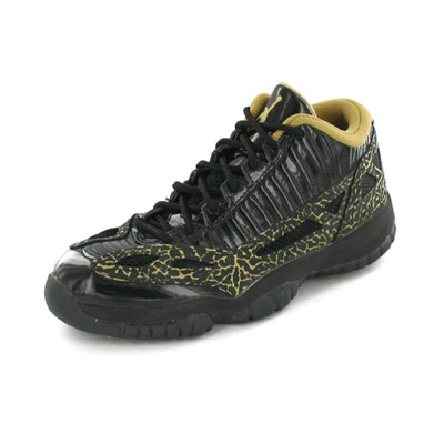 Nike Air jordan 11 retro low