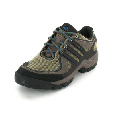 Adidas Terrex swift hike low
