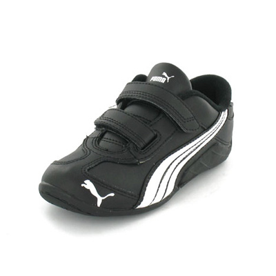 Puma Millennius