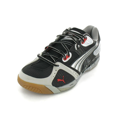 Puma Bracket 2