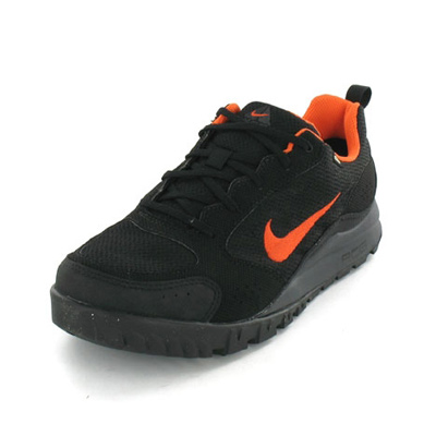 Nike Air Wildtrail GTX