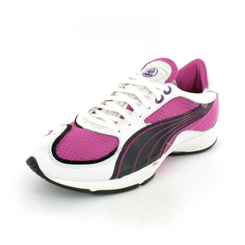 Puma Caspica