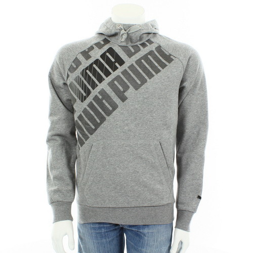Puma Graphic hooded sweat