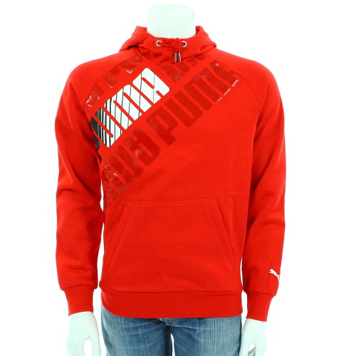 Puma Graphic hooded sweat