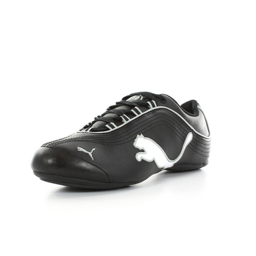 Puma Soleil cat