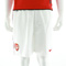 Nike Arsenal FC home shot 2010-11