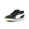 Puma Paulista 2.0