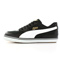 Puma Paulista 2.0