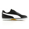 Puma Paulista 2.0