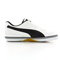 Puma Paulista 2.0