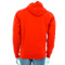 Puma Graphic hooded sweat