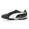 Puma Esito finale trainer
