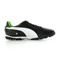 Puma Esito finale trainer