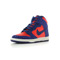 Nike Dunk hi skinny print
