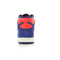 Nike Dunk hi skinny print