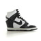 Nike Dunk Sky high