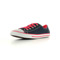 Converse Chuck Taylor Dainty OX