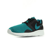 Nike Kaishi