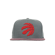 Mitchell & Ness Casquette Toronto Raptors