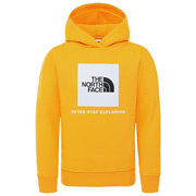 The North Face New Box Hoodie Kids