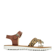 Kickers Betternew