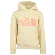 The North Face Drew Peak Hoodie