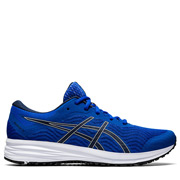 Asics Patriot 12