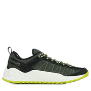 Timberland Solar Wave Low