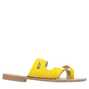 Les Petites Bombes Asha
