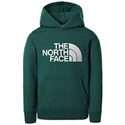The North Face Drew Peak Pullover Hoodie Kids