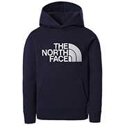 The North Face Drew Peak Pullover Hoodie Kids