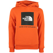 The North Face Box Hoodie Kids
