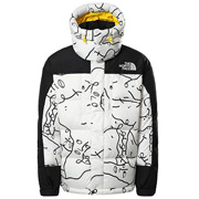 The North Face Hmlyn Parka