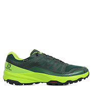 Salomon XA Discovery GTX