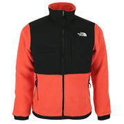 The North Face Denali 2 Jacket