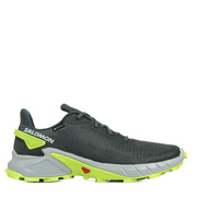 Salomon Alphacross 4 GTX