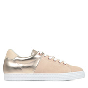 PLDM by Palladium Kate