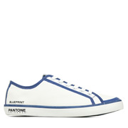 Pantone Universe REA